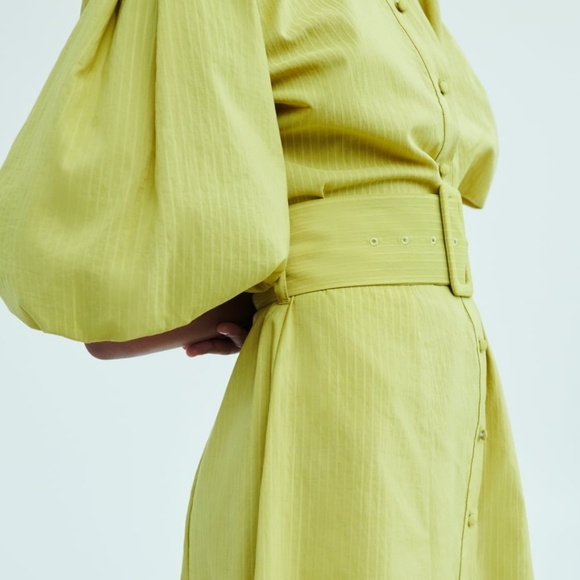 ZARA | Voluminous Sleeve Belted Dress Pistachio - Picture 12 of 16
